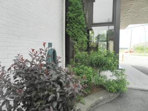 a bunch of plants in front of a building at L'Auberge de l'Aeroport Inn in Dorval
