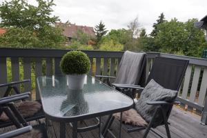 a glass table with a potted plant on a balcony at Ferienhaus Hundertmorgenfeld 33 in Wernigerode