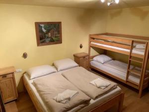 キルヒベルク・イン・チロルにあるAlmapartment Skiwiege - Ski-in - Ski-out ONLYのベッドルーム1室(二段ベッド2組、デスク付)