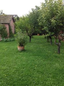 Zahrada ubytování Les portes du vignoble