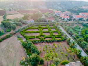 an aerial view of a garden with palm trees at Feudo di Villa Anticaglia in Briatico