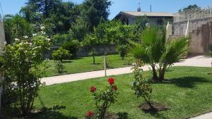 ザッフェラーナ・エトネーアにあるVilla Veraの赤い花とヤシの木が植わる庭園
