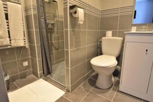 a bathroom with a toilet and a shower at Hôtel des 2 Gares in Auxerre