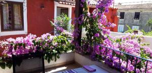 a bunch of purple flowers on the side of a building at Apartman i Sobe Čule Cres in Cres