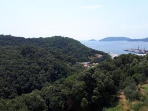 Príroda v okolí apartmánu + 6 fotografií