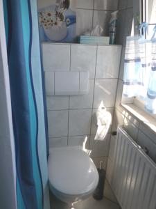 a small bathroom with a toilet and a shower curtain at Ferienzimmer Bella Casa in Biebesheim