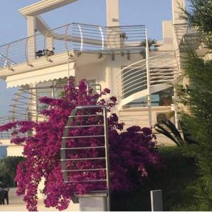 una escalera frente a un edificio con flores púrpuras en La Collina dei Colori, en Vasto