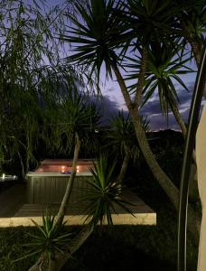 a house with palm trees in the yard at night at La Collina dei Colori in Vasto