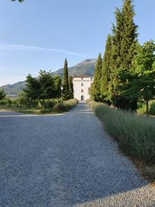 eine Straße, die zu einem weißen Gebäude mit Bäumen führt in der Unterkunft Casa Guelfucci in Corte