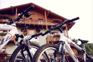 Jazda na bicykli v okolí ubytovania Hotel Almazzago