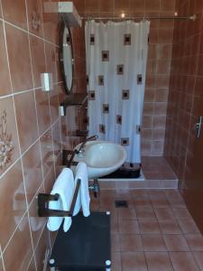 Koupelna v ubytování Apartments Renata