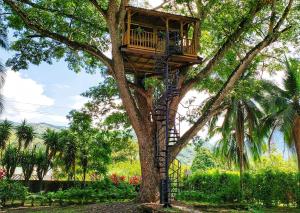 Casa en el Arbol