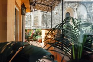 Zahrada ubytování B&B MilleQuattrocento