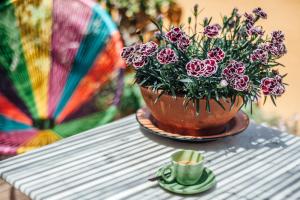 Fotografie z fotogalerie ubytování B&B MilleQuattrocento v destinaci Gaeta