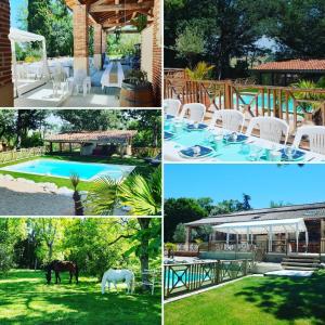 un collage de fotos de una piscina con sillas blancas y un caballo en Guesthouse Le Pujol, en Sainte-Foy-dʼAigrefeuille