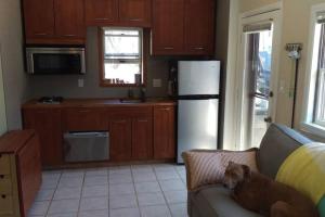 a dog sitting on a couch in a kitchen at Wildwoof Beach Bungalow @ NW. 3 Blocks to Beach! in North Wildwood
