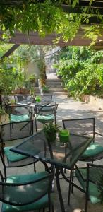 Zahrada ubytování Bed & Breakfast Dora
