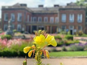 a vase filled with flowers sitting on top of a lawn at Colwick Hall Hotel in Nottingham
