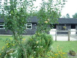 The building where the country house is located 