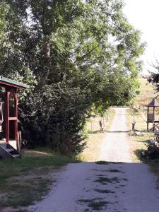 Příroda nedaleko apartmánu