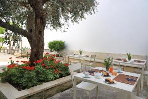 A garden outside Palazzo Circolone