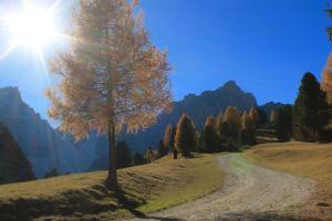 Billede fra billedgalleriet på Garni Karin i Corvara in Badia