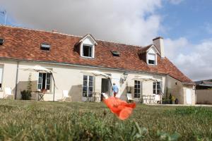 une fleur rouge dans l'herbe devant une maison dans l'établissement Domaine de Praline Opale, à Villerbon