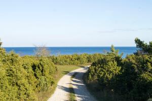 a dirt road with the ocean in the background at Wild Beach Spa in Kihelkonna