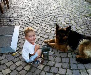 un jeune garçon assis à terre à côté d'un chien dans l'établissement Pension Sonnenhof, à Förthen