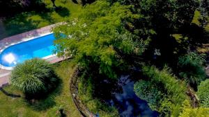 an overhead view of a swimming pool with trees at Mihály Kulcsos Vendeghaz in Őriszentpéter