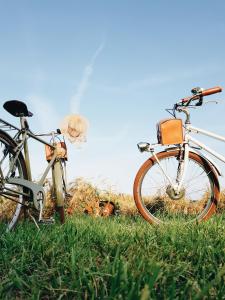 zwei Fahrräder, die im Gras auf einem Feld geparkt sind in der Unterkunft Vakantiewoning Guesthouse MOMO in Dilsen-Stokkem