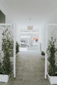 a white hallway with potted plants in a store at Prima Gardens City Studios in Larnaca