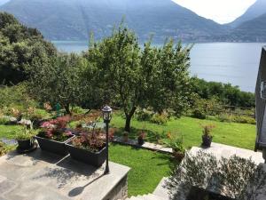 a garden with a view of a lake at Casa Azalea in San Siro