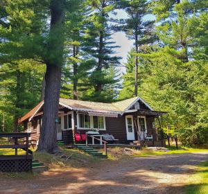 ein kleines Haus im Wald mit einem Baum in der Unterkunft The Wilderness Inn: Chalets in Wilmington
