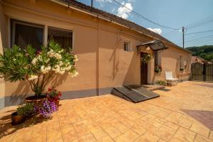 un patio con fiori e piante di fronte a una casa di Nice&Cozy Apartament a Sighişoara