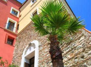 a palm tree in front of a building at Relais Hotel Palazzo Castriota in Corigliano Calabro