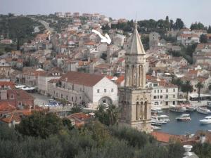 Príroda v okolí apartmánu