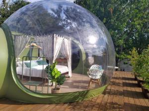Ogród w obiekcie REMANSO DE TRASFONTAO Casa das Árbores & Bubble