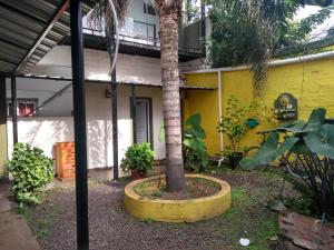 Φωτογραφία από το άλμπουμ του Hostería Niemanu σε Paso de la Patria