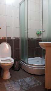 ein Badezimmer mit Dusche, Toilette und Waschbecken in der Unterkunft Apartment Kristi in Kruševo + 13 Fotos