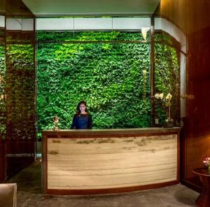 een vrouw die achter een toonbank voor een groene muur staat bij Hotel Hugo in New York