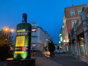Fotografie z fotogalerie ubytování Blue Rose Apartman v destinaci Karlovy Vary