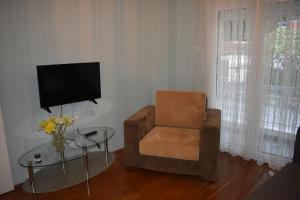 a living room with a chair and a television at Enipeas Apartment in Litochoro