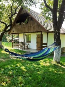 a hammock in front of a house at Еко Дім з СОЛОМИ in Solochin