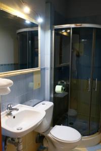 uma casa de banho com um WC, um lavatório e um chuveiro em Agroturystyka U Misia em Niedźwiedź