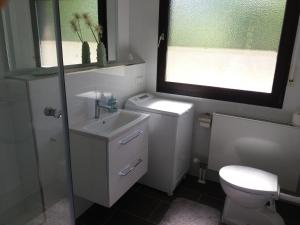 ein Bad mit einem Waschbecken, einem WC und einem Fenster in der Unterkunft Ferienwohnung Lingenfelder in Bad Dürkheim