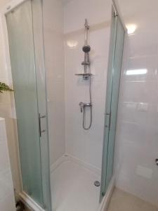 a shower with a glass door in a bathroom at Lanterna Apartment in Zagreb