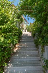 een trap naar een huis met bomen bij Apartments Vojin in Trogir
