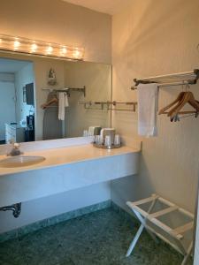 baño con lavabo y espejo grande en Floridian Hotel en Homestead