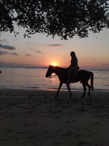 Gallery image of Padanta Homestay in Gili Trawangan